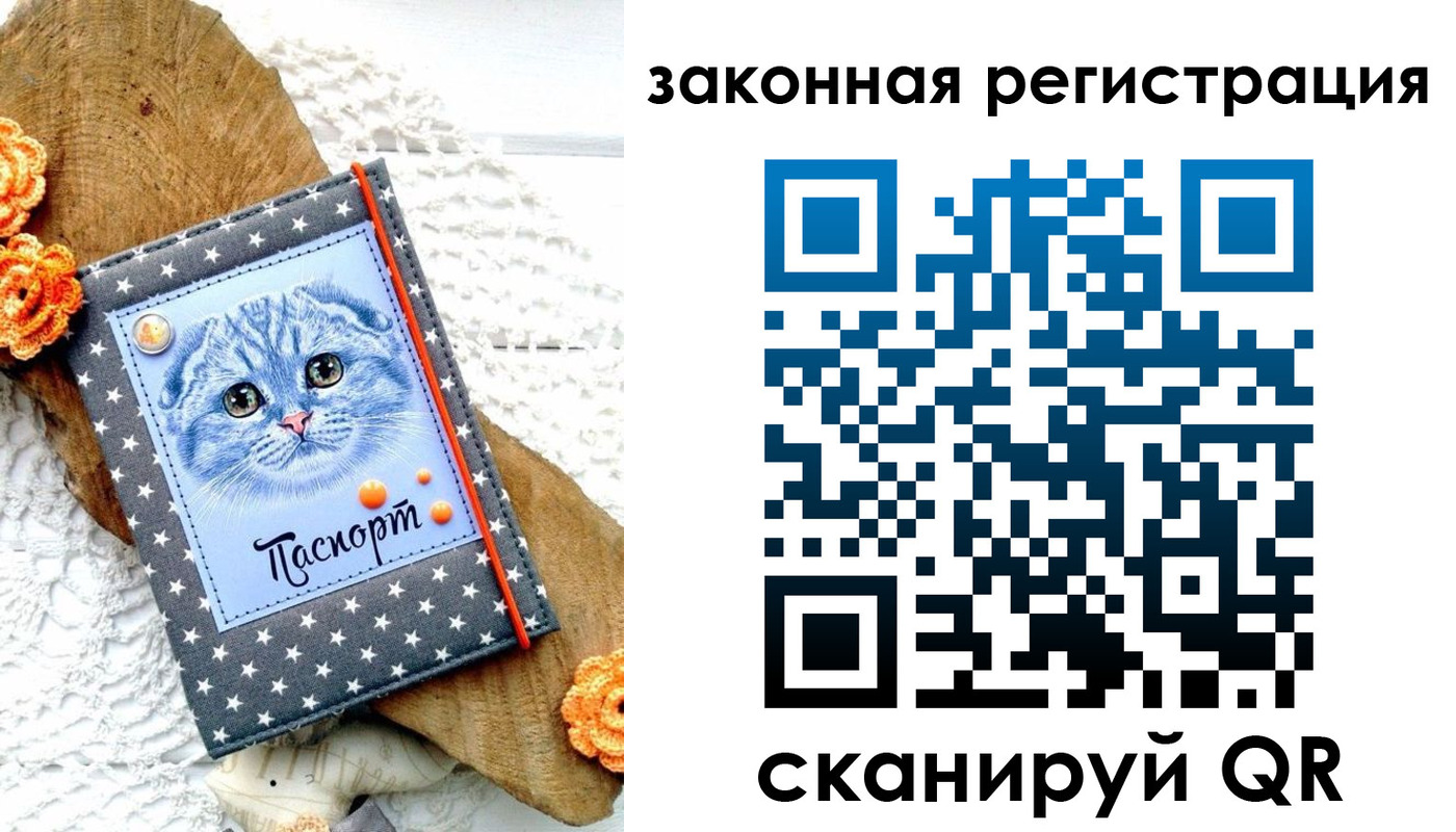 регистрация в Краснокаменске